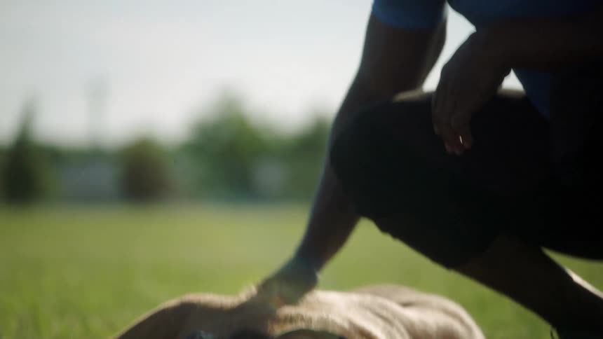 A man is petting his dog outdoors in spring