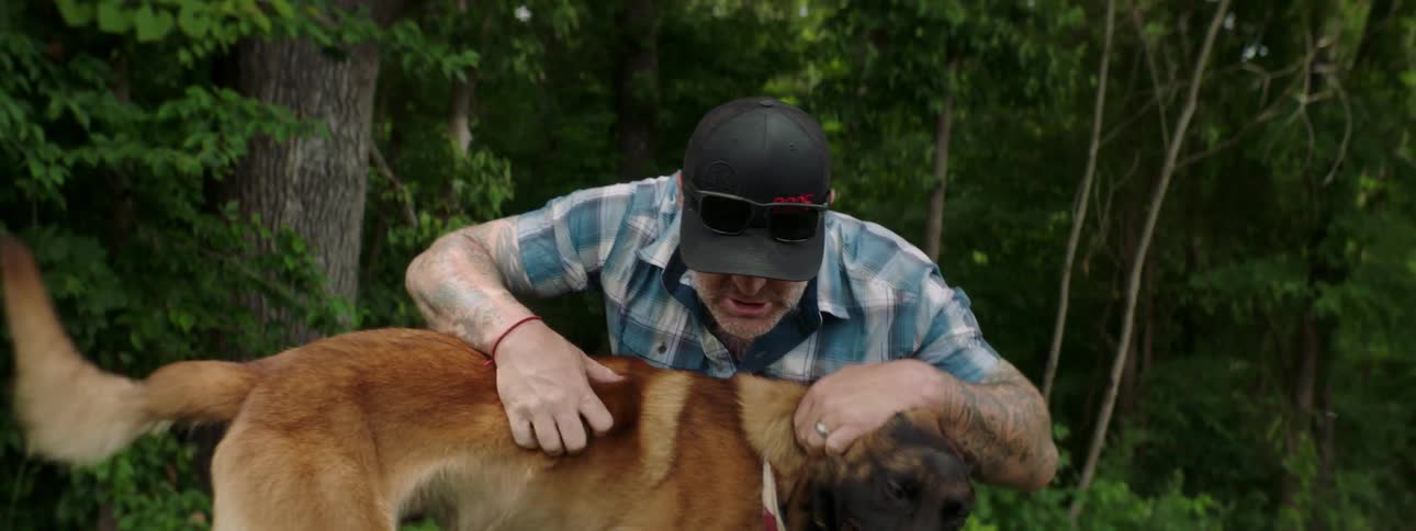 Herding breed dog in park with owner