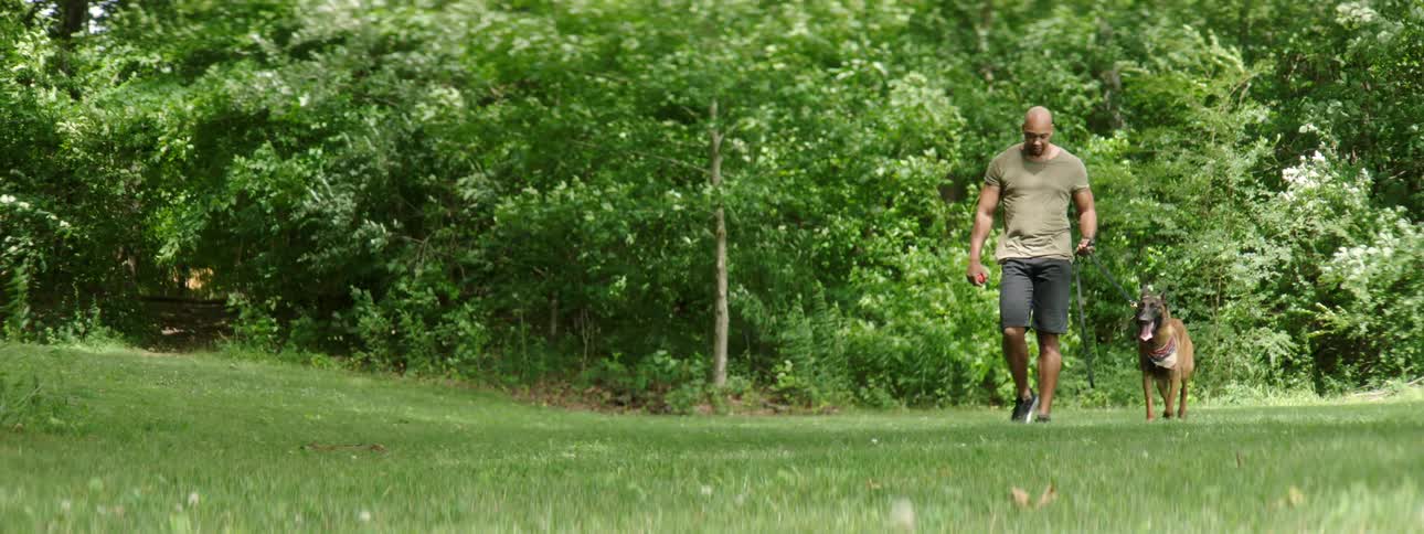 A man is walking his dog outdoors in spring