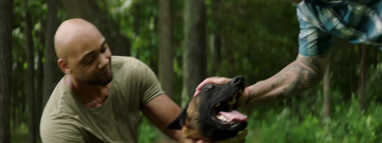 Two men are petting a dog outside