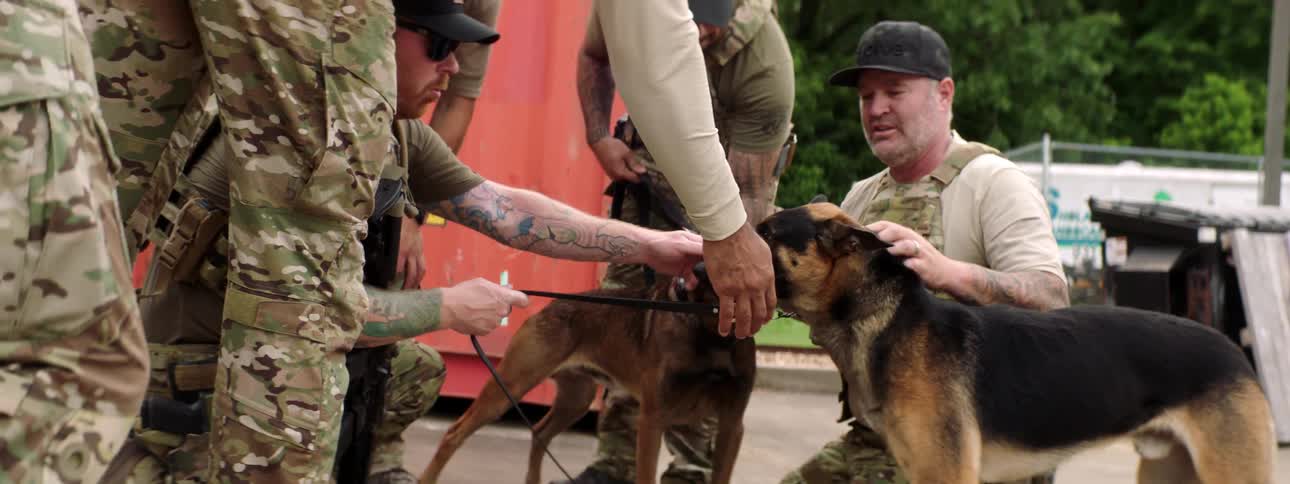 Men in the military holding guns pet police dogs