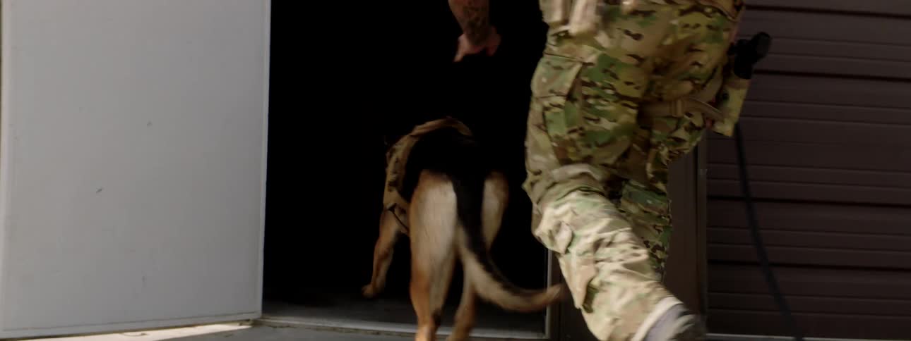 Men and a dog with military uniforms and guns entering into a building