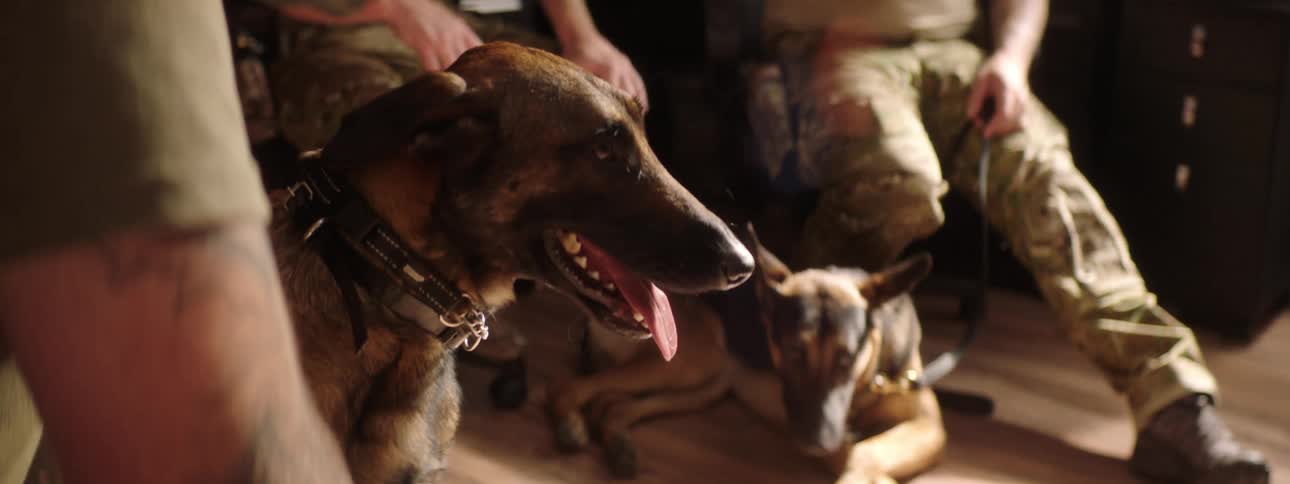 A group of men sit together inside with their dogs wearing possible military casual clothing