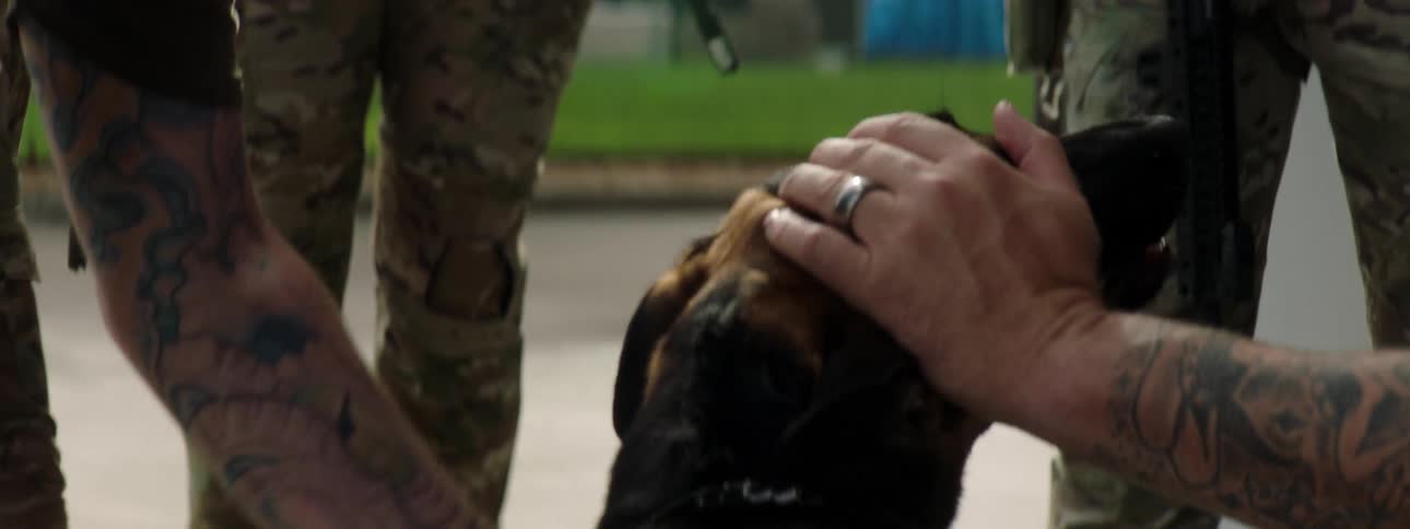 A group of armed soldiers pet a dog outdoors on a sunny day
