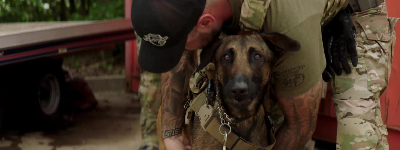 A soldier adjusts a harness on a dog