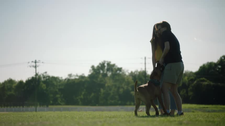 Young couple playing with a pet dog in the grass field on a park