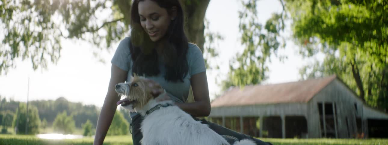 Young woman and a small dog sitting on blanket over the grass under a tree