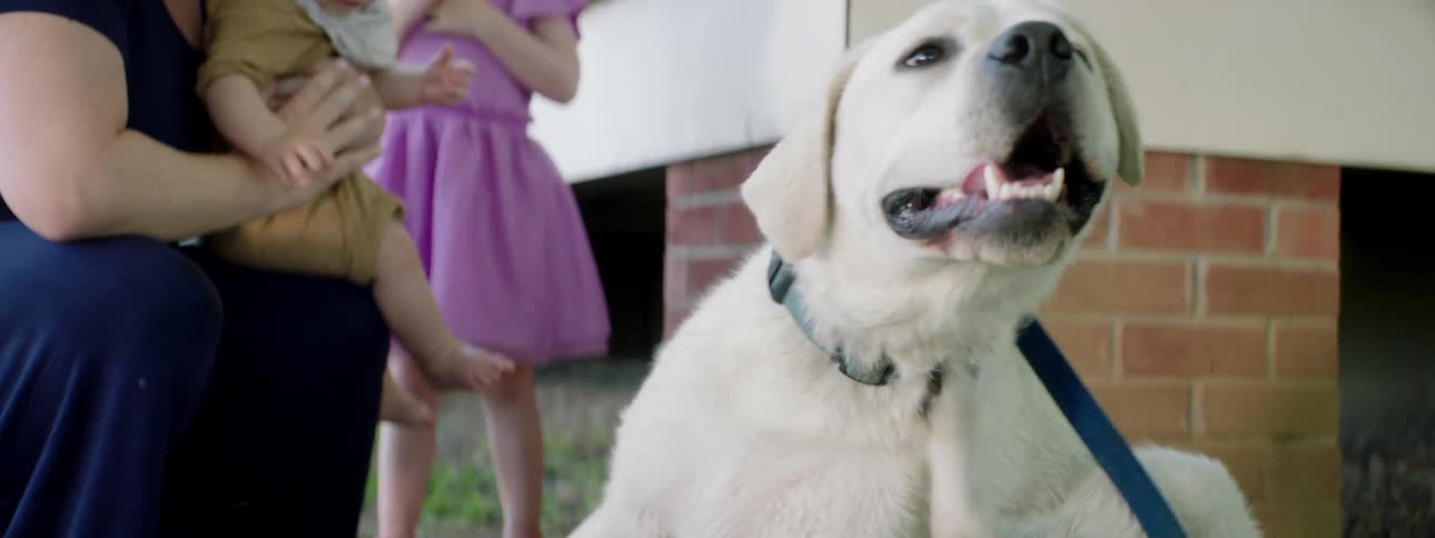 A dog scratches itself vigorously while a family with small children looks on