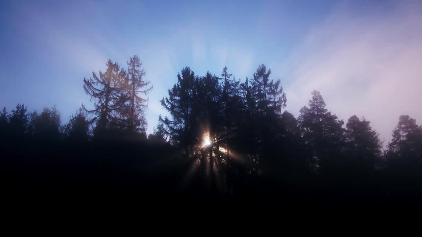 A forest with trees with the sun sky and clouds in the background
