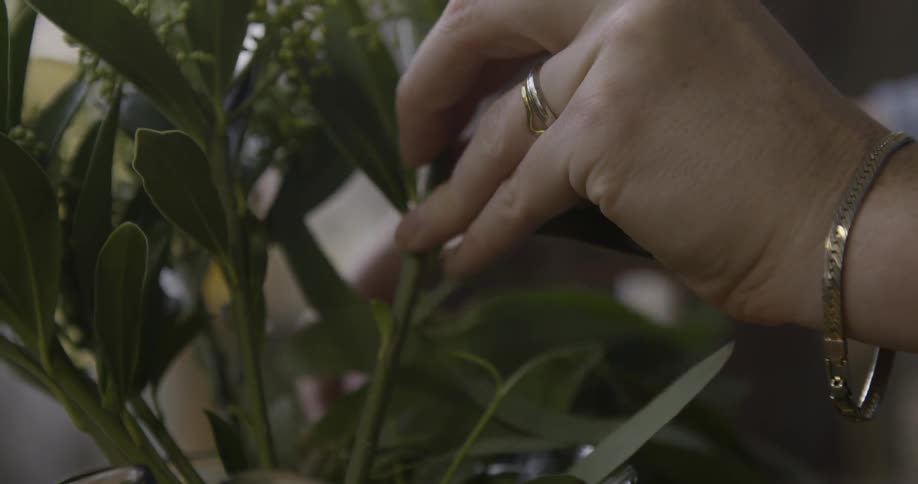 A woman arranges flowers