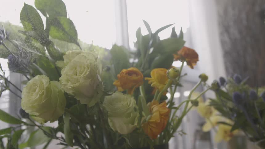 Water sprays some flowers