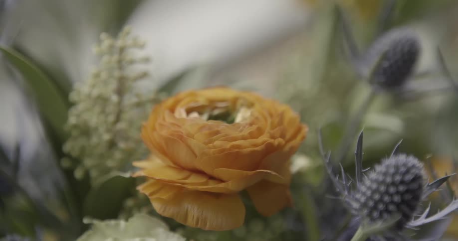 Florist