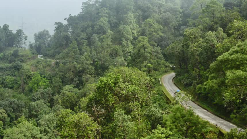 A bicyclist and a van driver ride down two separate curvy roads that are about to converge in a rural area