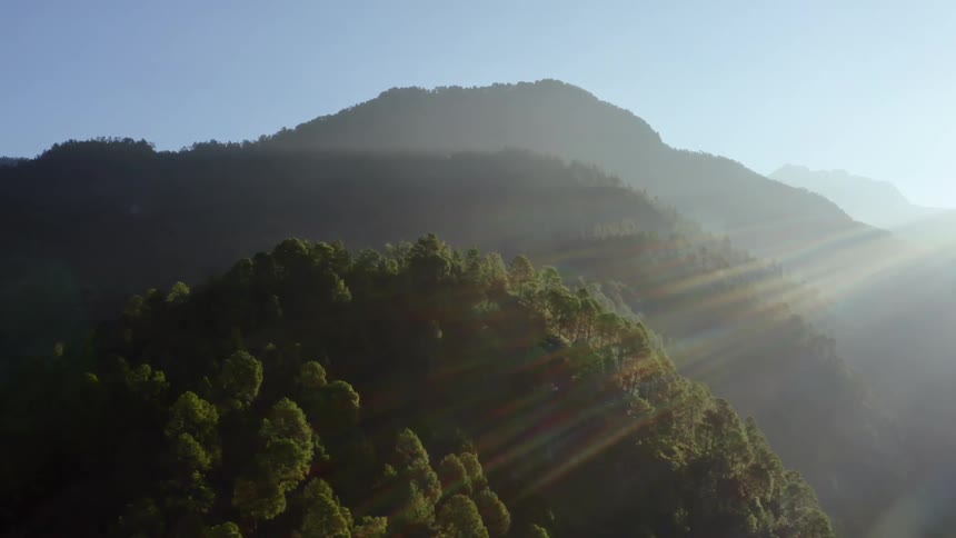 Trees are covering the mountains