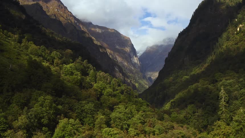 Trees in a valley near mountains is displayed