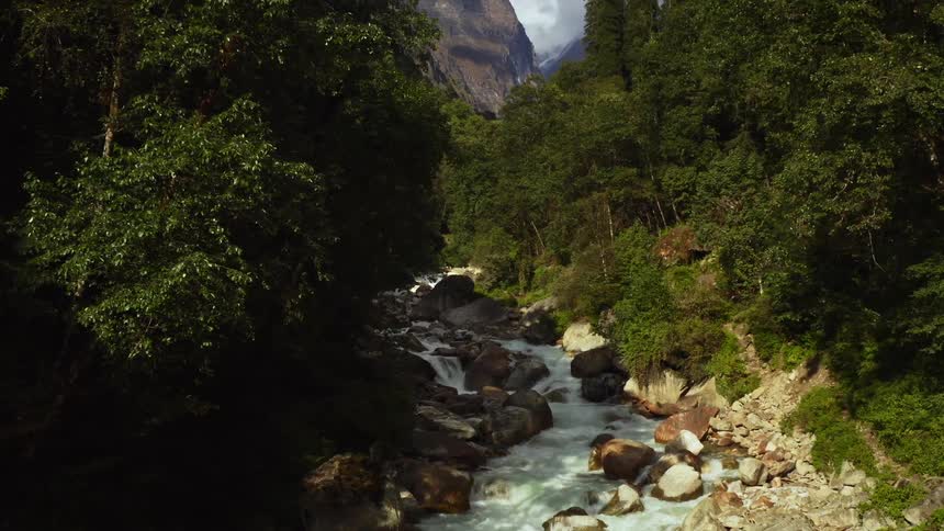 A river with rocks surrounded by trees with a mountain range and the sky in the background