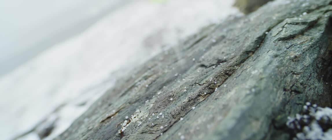 Snow falls onto a rock on a winter day