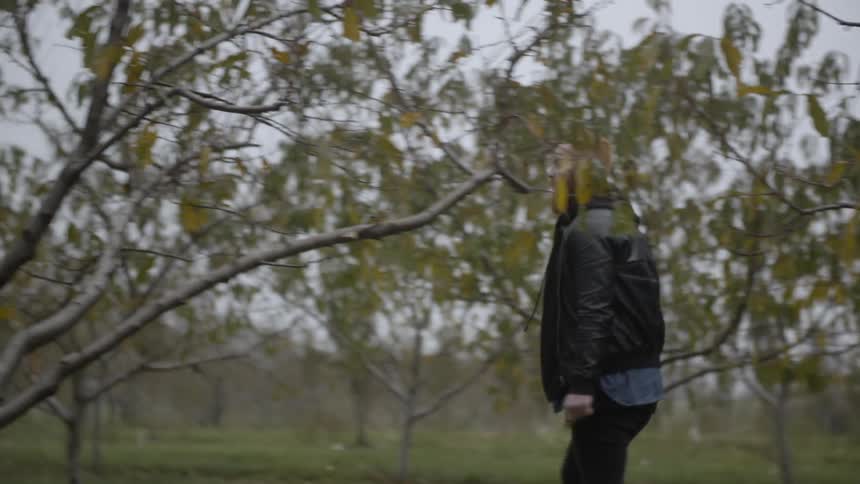 A man walking through an orchard