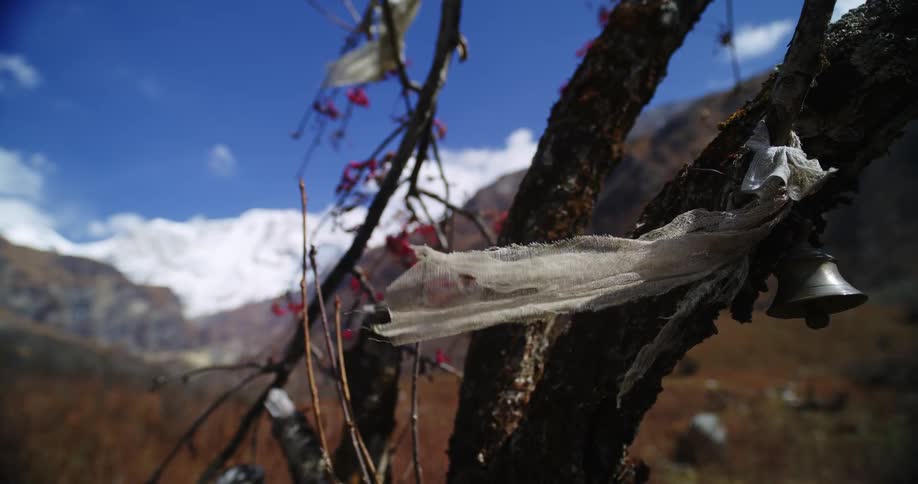 A ribbon and small bell tied to a thin tree in a mountain valley sway in the wind on a sunny day