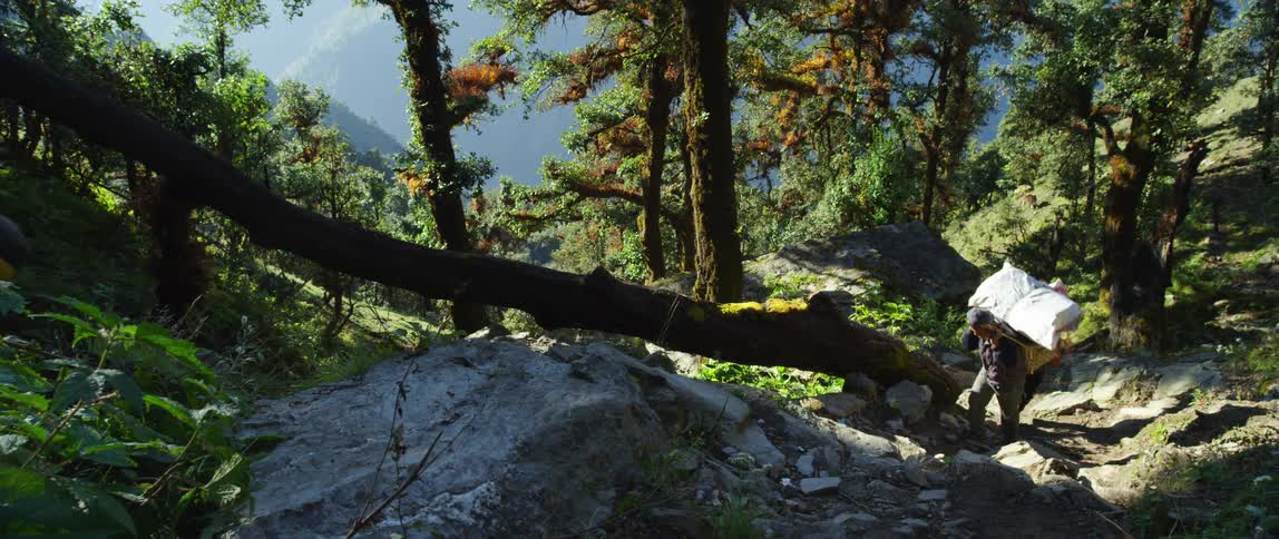 Three men walking up a rocky pathway with trees and a mountain range in the background