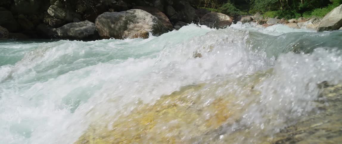 A river with water and rocks with plants and trees in the background