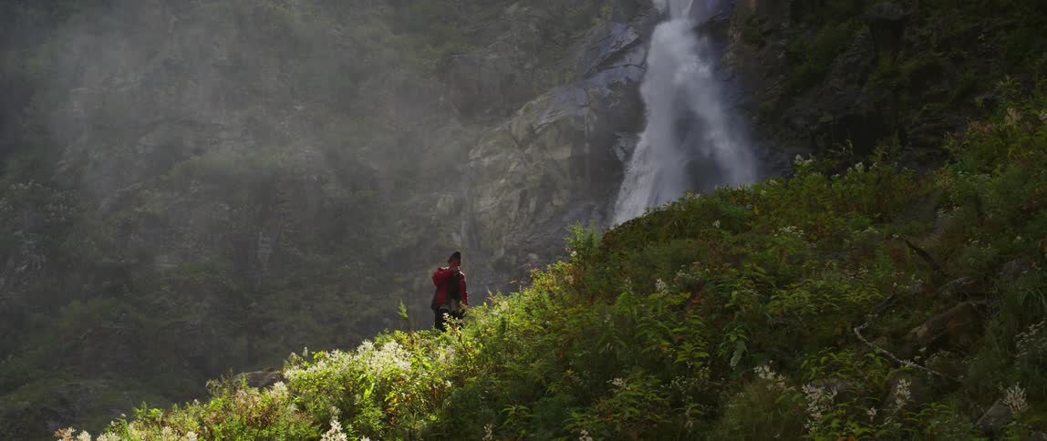 A person is walking through a rain forest