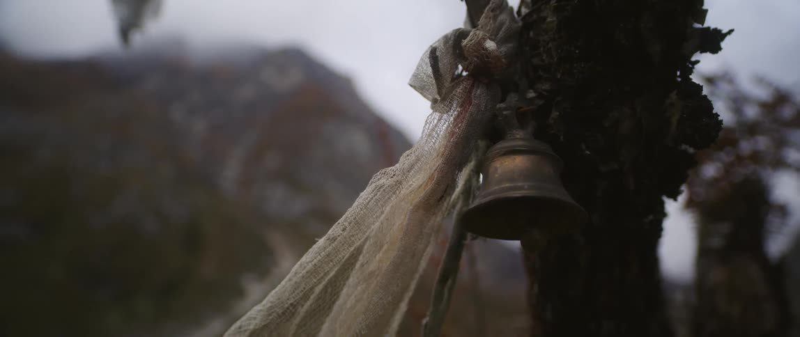 A bell on a tree next to a ribbon with a mountain range and the sky in the background