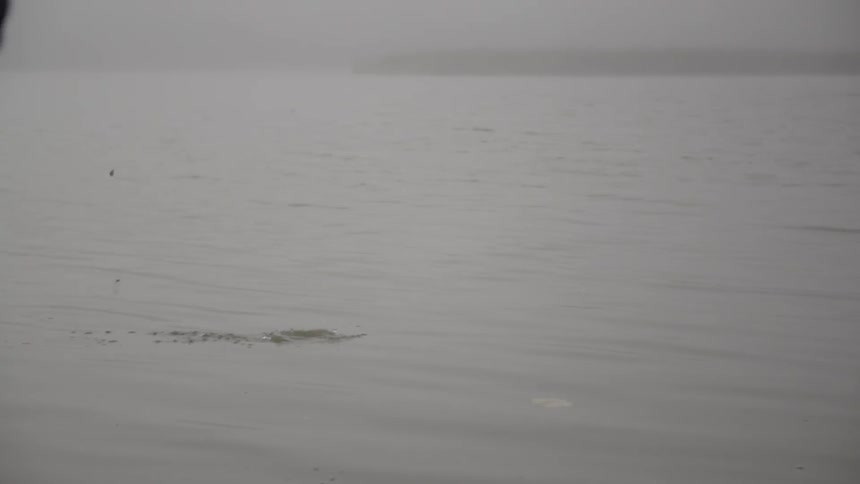 A stone is skipped on a lake