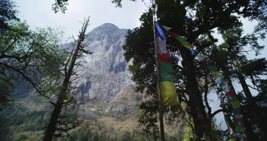 Flags on a mountain range near many trees