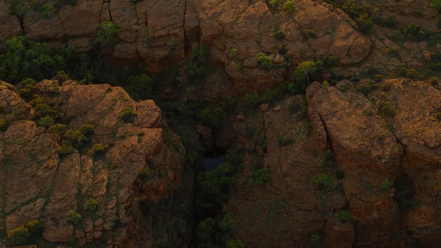Aerial view of trees on top of mountains is displayed