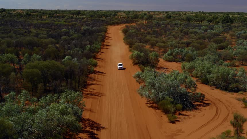 A vehicle driving down a dirt road next to a heavily treed area