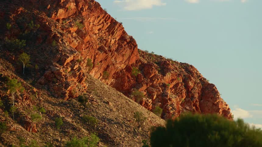 Shrubs at the base of a cliff