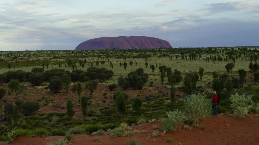 A man stands and looks across at uluru ayers rock