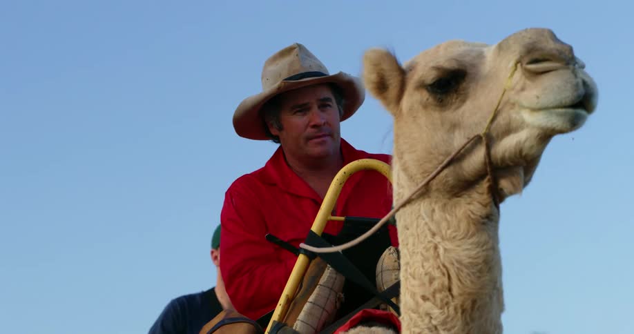 A man and woman riding on camels outside