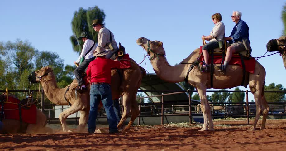 A man helps people touring as they get on camels to ride them