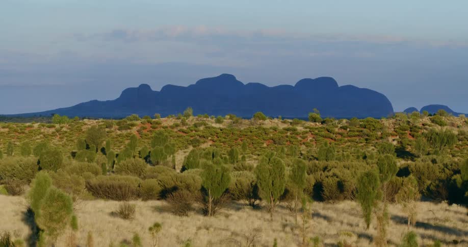 A desert with trees and shrubs with a mountain range and the sky in the background