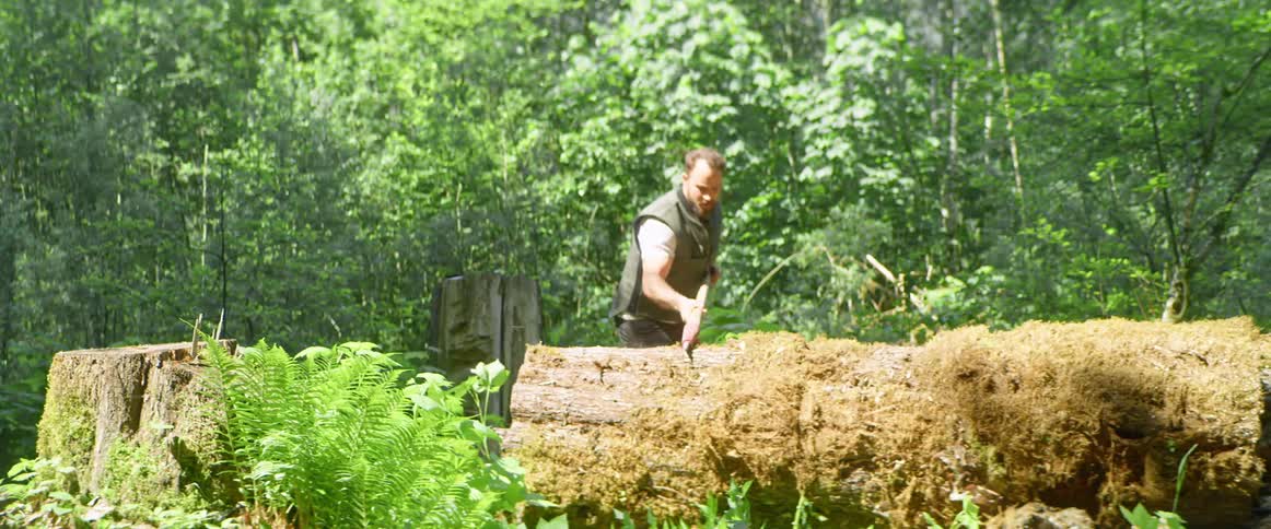 Man grips large tree log with a tool in the forest