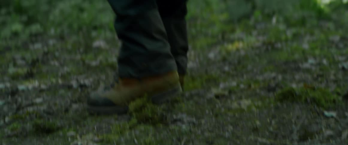 A person walking through a woodland pauses for a moment before continuing onward