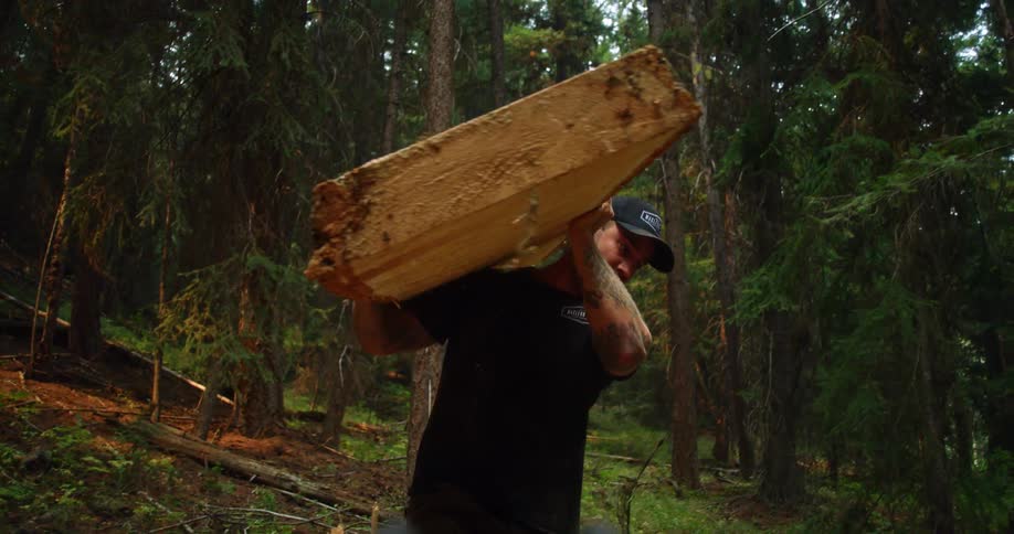 A man is lifting logs in a forest