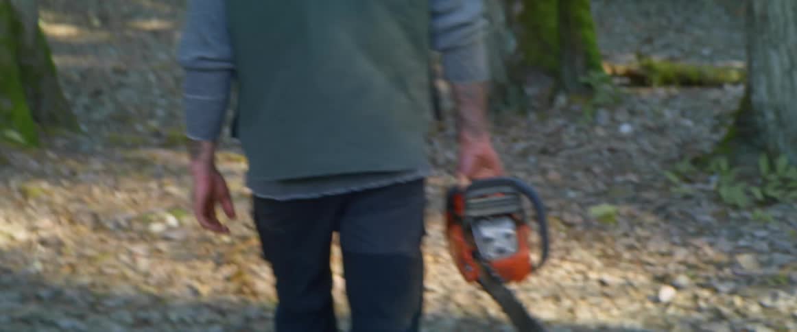 A man carries a chainsaw as he walks through a woodland during the day