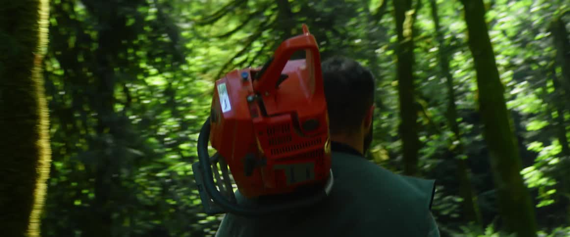 A man walking in the forest with trees holding a chainsaw