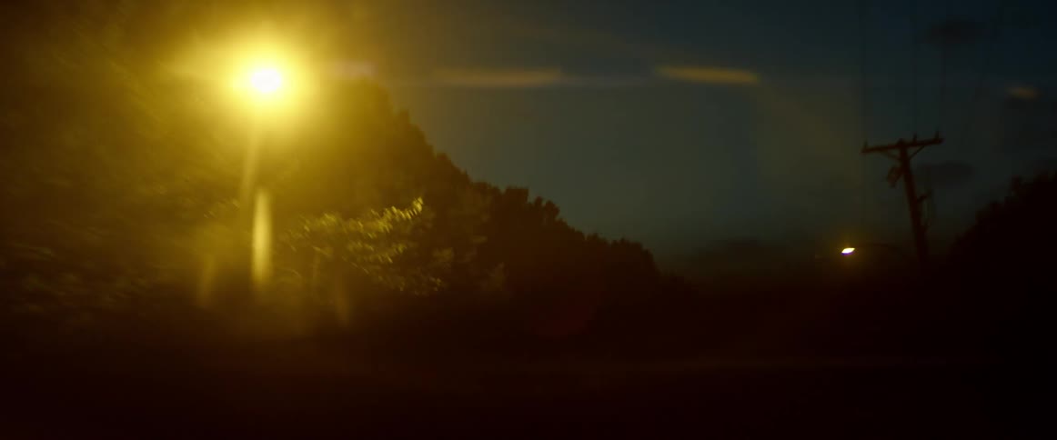 A vehicle drives along a bumpy tree lined road at night