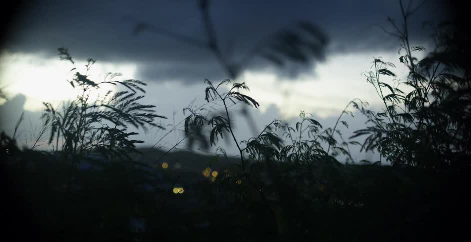 Small town lights glow through vegetation under clouds at night