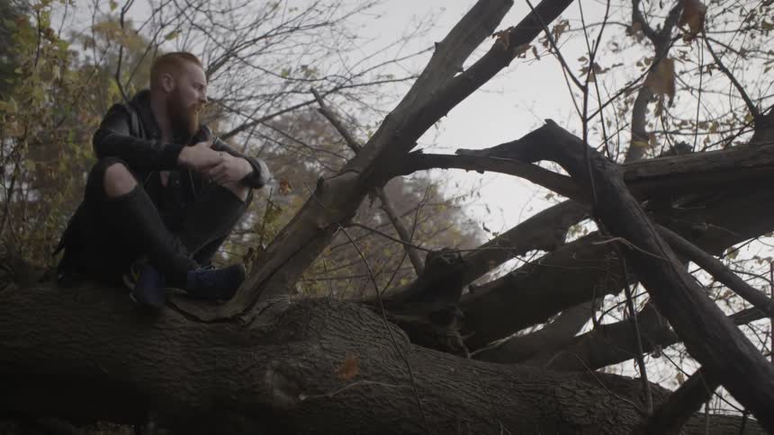 A man sits crossed-legged on a large tree branch
