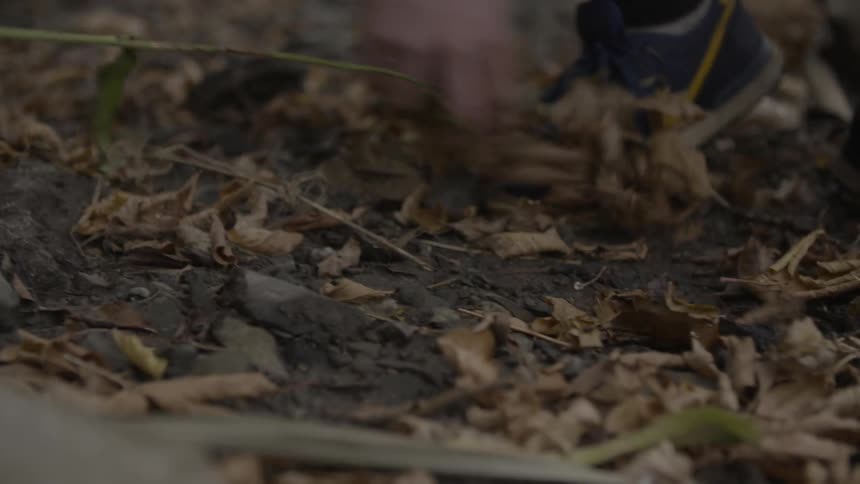 A person is foraging through some rocks and leaves on the ground