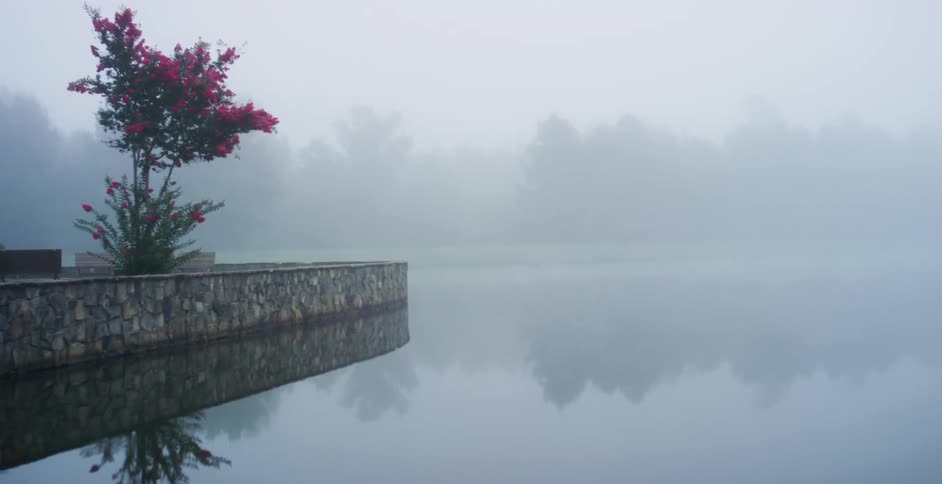 Fog covers a lake
