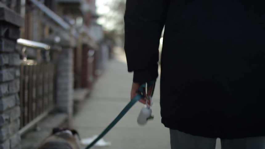A person walks a dog along a sidewalk in a city neighborhood during the day