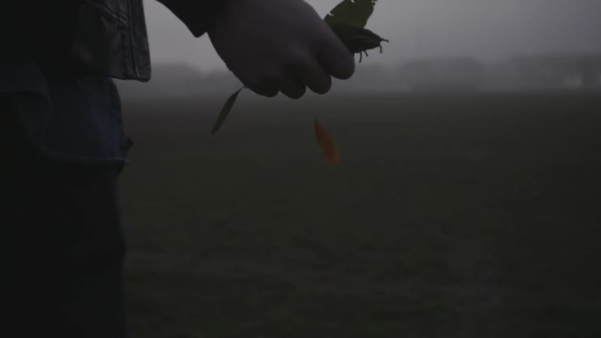 Person walking and dropping leaves from their hand