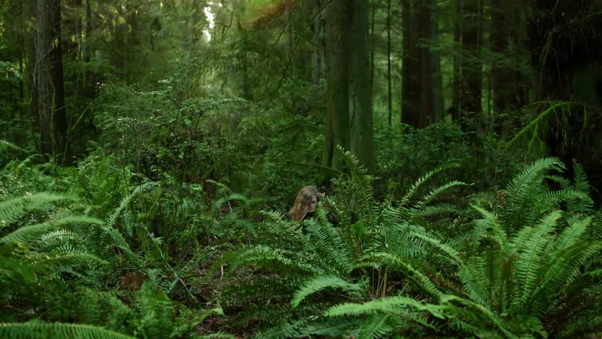 Woman dances in forest clearing among ferns