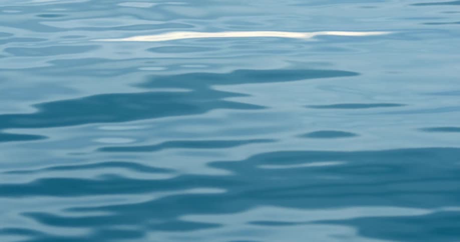Small ripples on surface of water